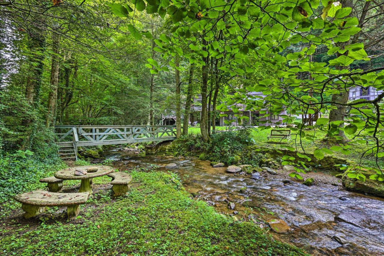 Roan Mountain Creekside Cabin Hike And Fish! Exterior foto