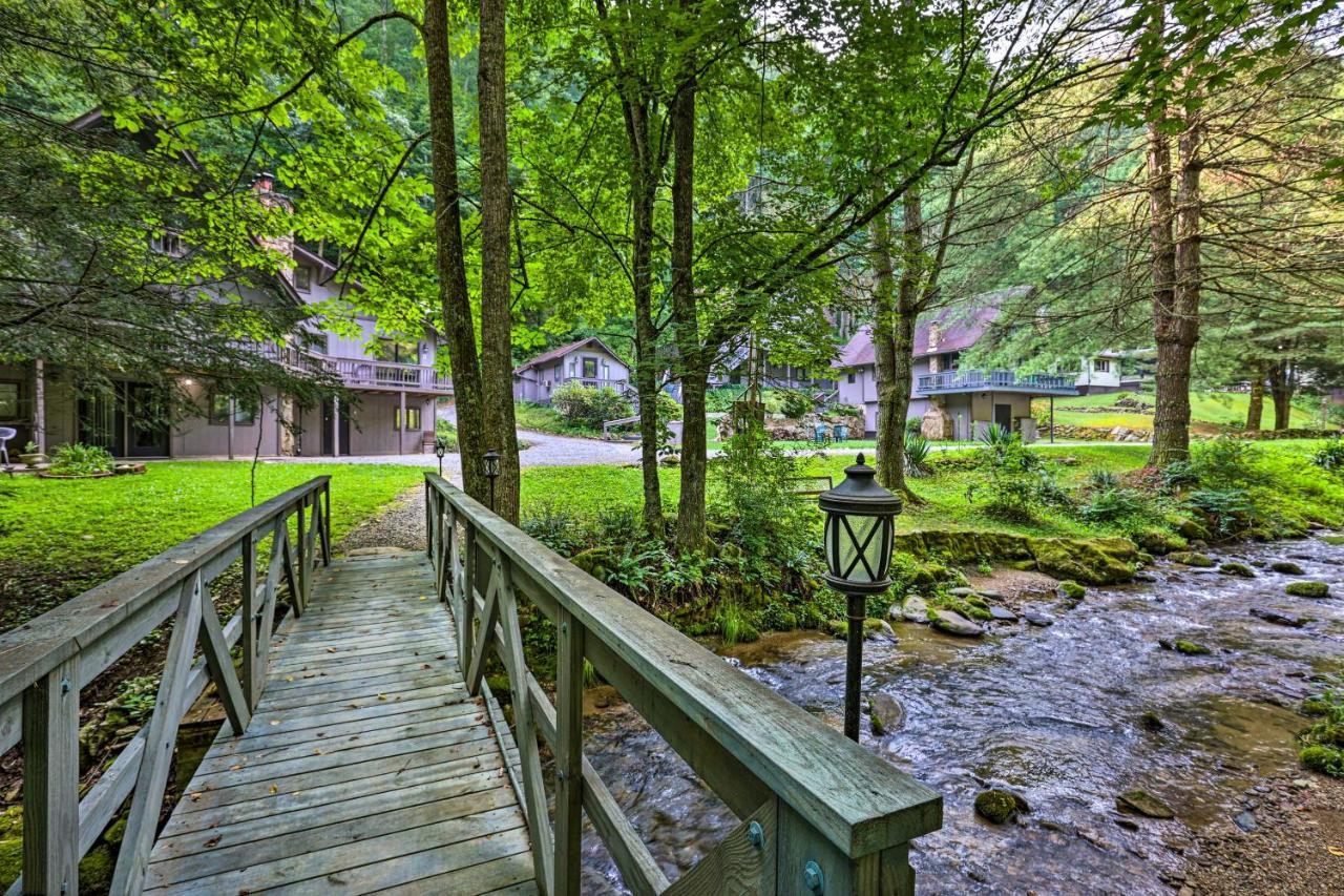 Roan Mountain Creekside Cabin Hike And Fish! Exterior foto