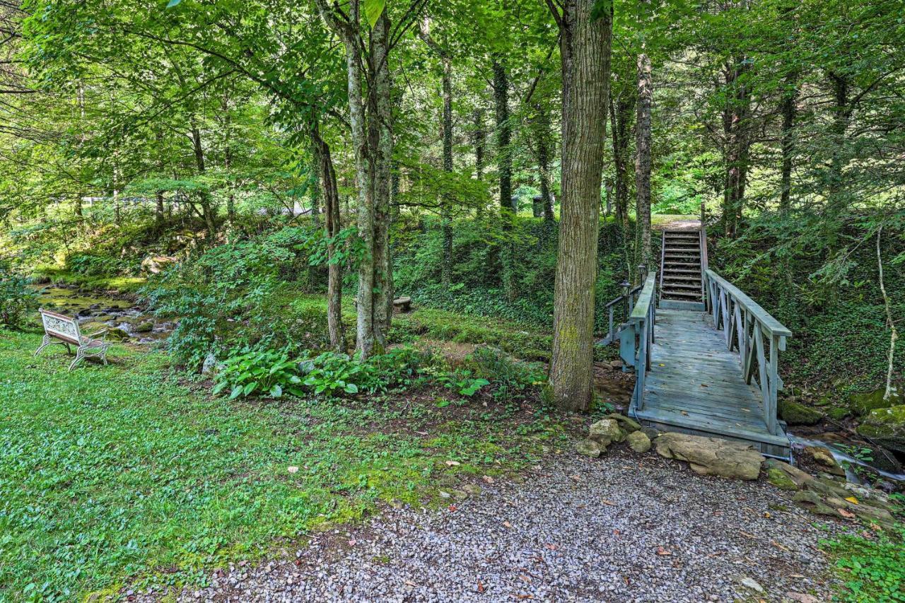 Roan Mountain Creekside Cabin Hike And Fish! Exterior foto